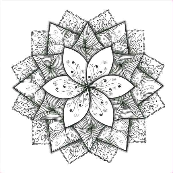 603x602 cool flower drawing cool flower designs to draw flower crown - Flower Crown Drawing Tumblr