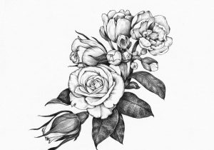 300x210 Tumblr Drawing Flower Crown Archives - Flower Crown Drawing Tumblr