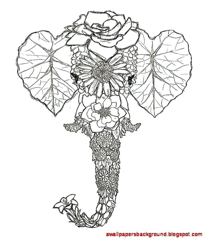 689x800 Drawn Flower Tumblr Plant Drawings Flower Drawings Wallpapers - Flower Crown Drawing Tumblr