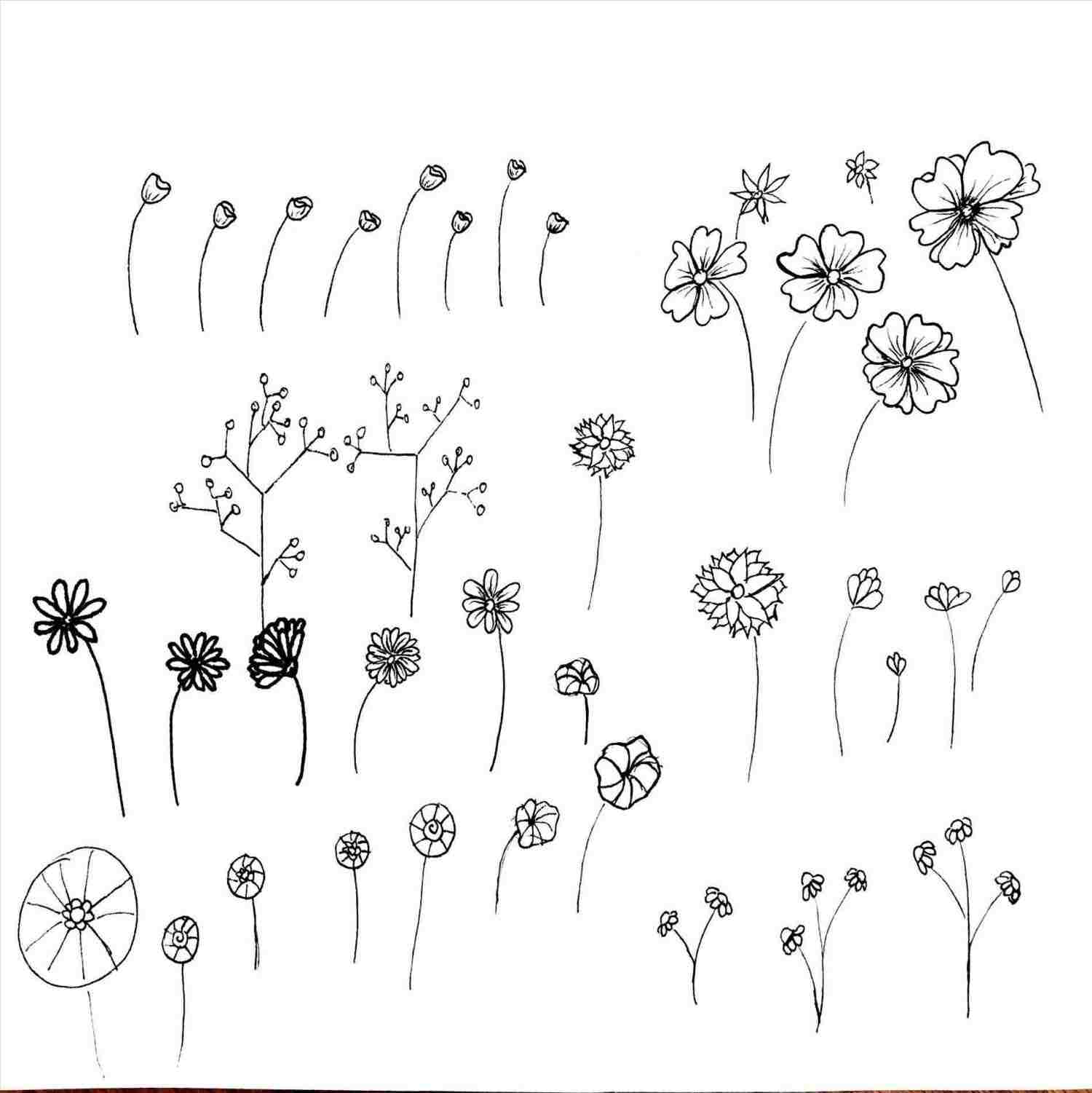 1500x1501 Flower Crown Drawing Tutorial - Flower Crown Drawing Tutorial