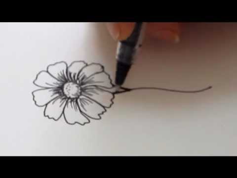 480x360 How To Draw A Flower - Flower Daisy Drawing