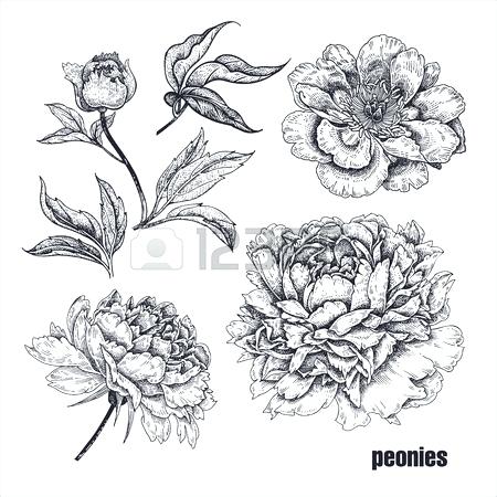 450x450 black and white drawings realistic flowers decoration bird hand - Flower Decoration Drawing