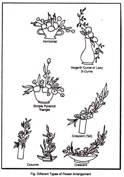 423x601 huge collection of 'flower decoration drawing' download more than - Flower Decoration Drawing