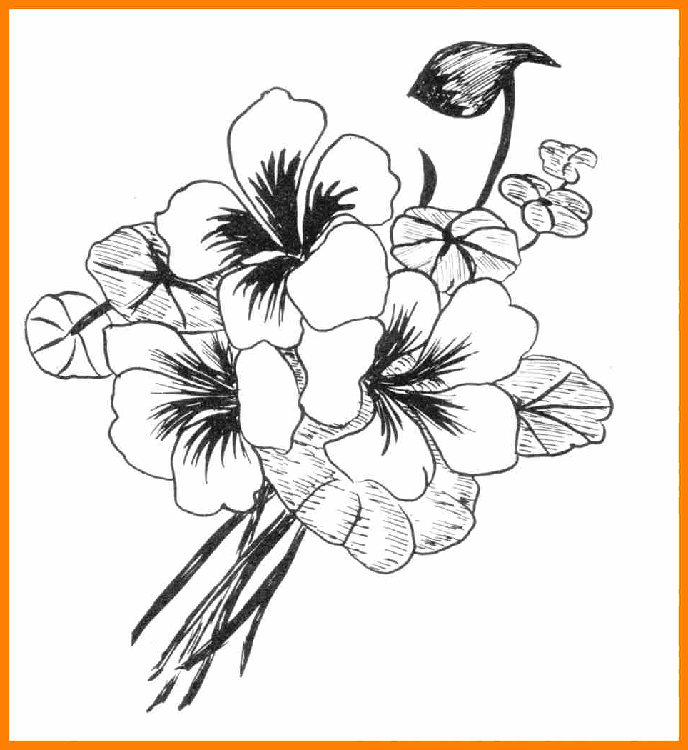 964x1050 Simple Flower Design Draw On Paper Photos Beautiful Designs - Flower Design Drawing