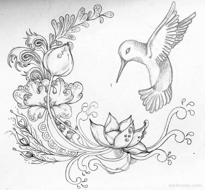 659x609 Beautiful Flower Drawings And Realistic Color Pencil Drawings - Flower Design Drawing