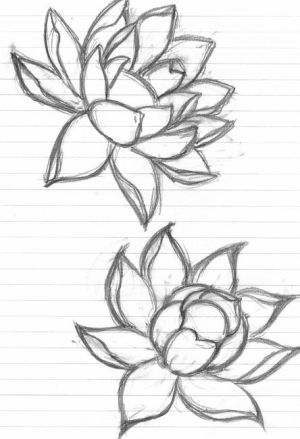 300x439 Flowers! - Flower Drawing