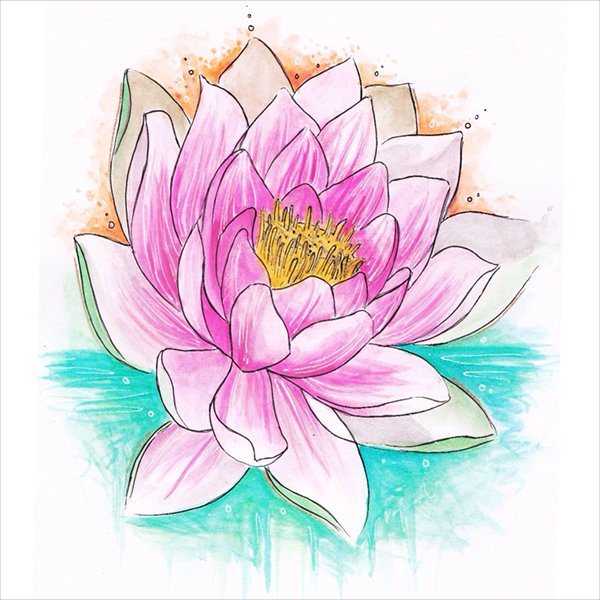 600x600 Flower Drawings Free Premium Templates - Flower Drawing