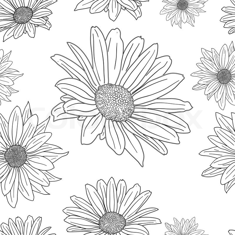 Flower Drawing Background at PaintingValley.com | Explore collection of Flower Drawing Background