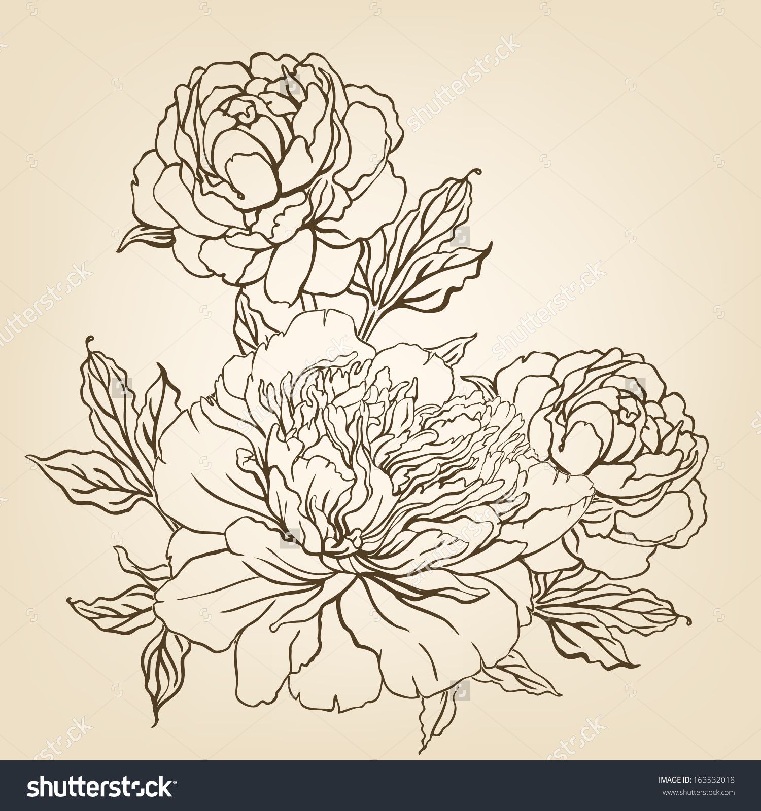 1500x1600 peony vintage hand drawing background with flowers vector - Flower Drawing Background