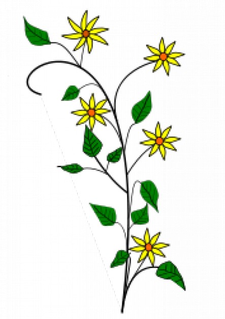 443x626 simple yellow flowers drawing with white background stock images - Flower Drawing Background