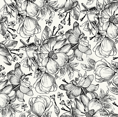 500x495 Classic Pattern Beautiful Flowers Dogrose, Rosehip, Brier - Flower Drawing Background