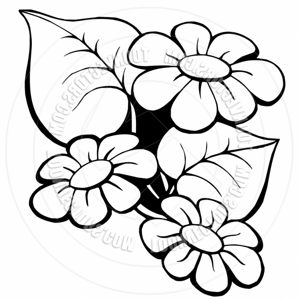 Flower Drawing Cartoon