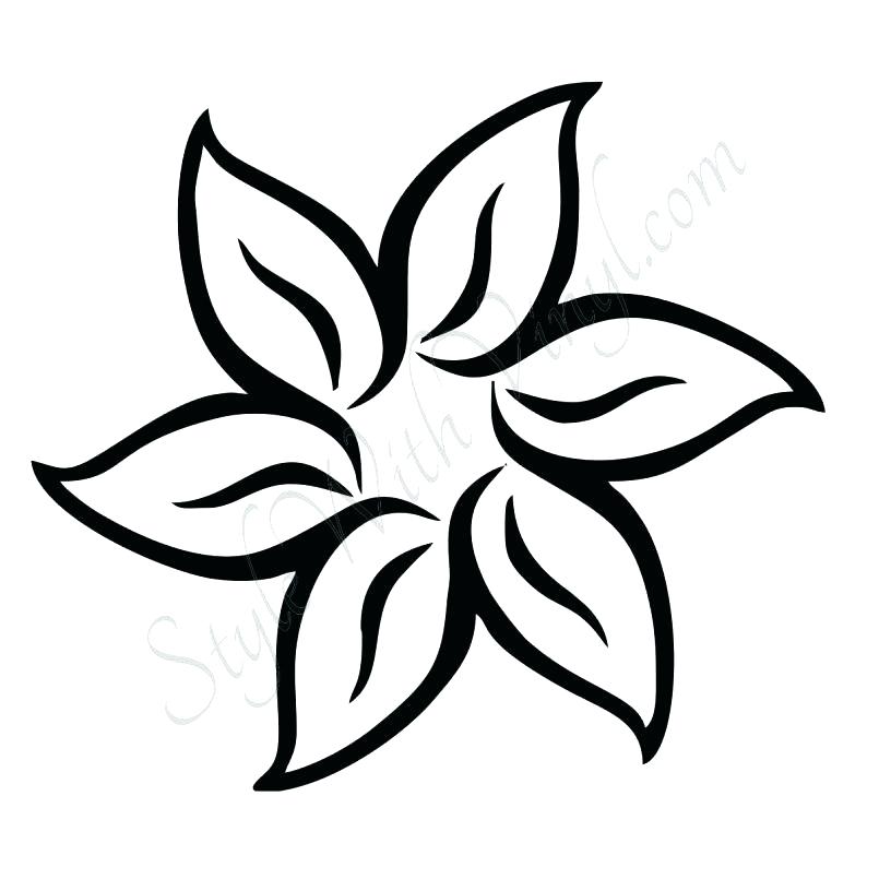 805x805 Draw Cartoon Flower How To Draw Cartoon Flowers Step Draw - Flower Drawing Cartoon
