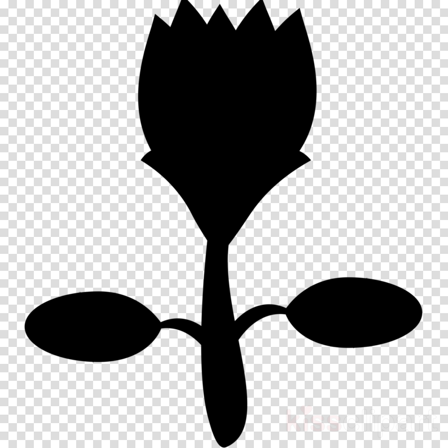 900x900 Drawing, Cartoon, Flower, Transparent Png Image Clipart Free - Flower Drawing Cartoon