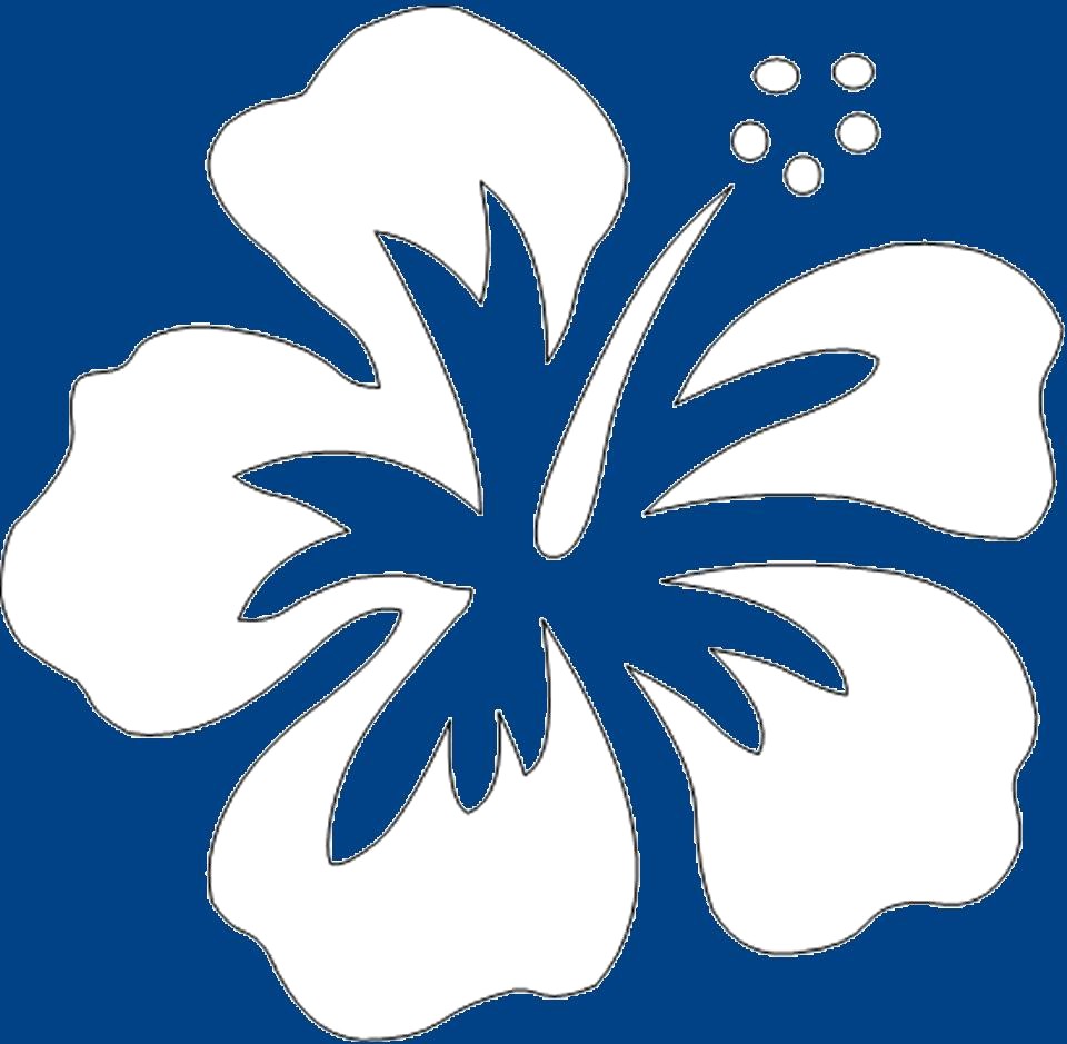 960x939 Easy To Draw Hawaiian Flowers Hawaii Flower Drawing At Getdrawings - Flower Drawing Cartoon