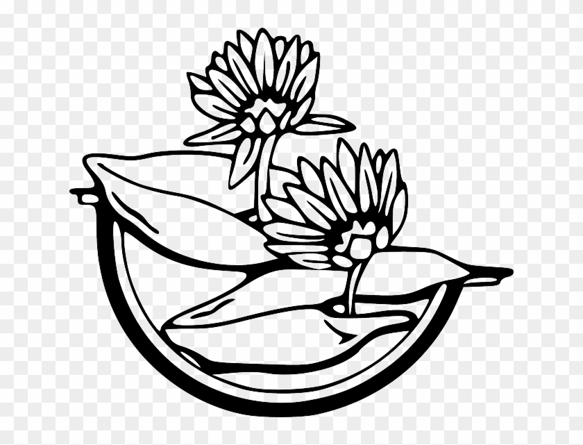 840x641 Water, Outline, Drawing, Flower, Flowers, Cartoon - Flower Drawing Cartoon