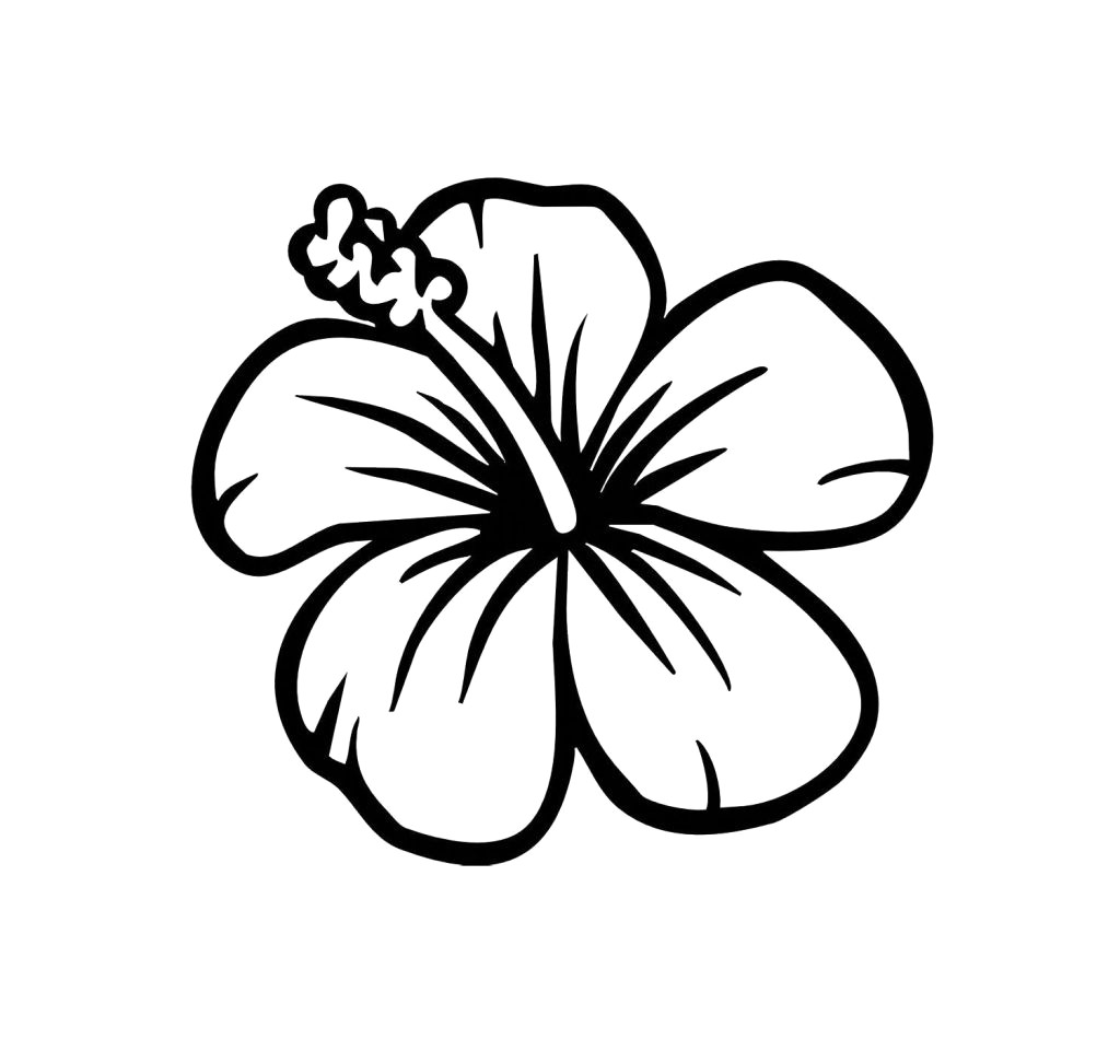 1024x950 Cartoon Hawaii Flowers - Flower Drawing Cartoon