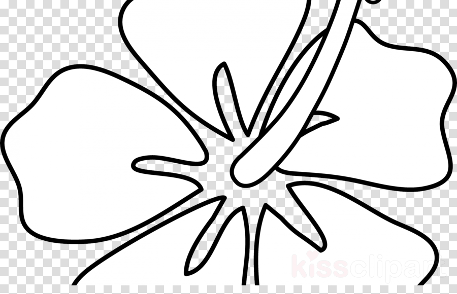 900x580 Drawing, Sketch, Flower, Transparent Png Image Clipart Free Download - Flower Drawing Clipart