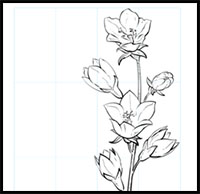 200x194 How To Draw Flowers Drawing Tutorials Drawing How To Draw - Flower Drawing Easy Step By Step