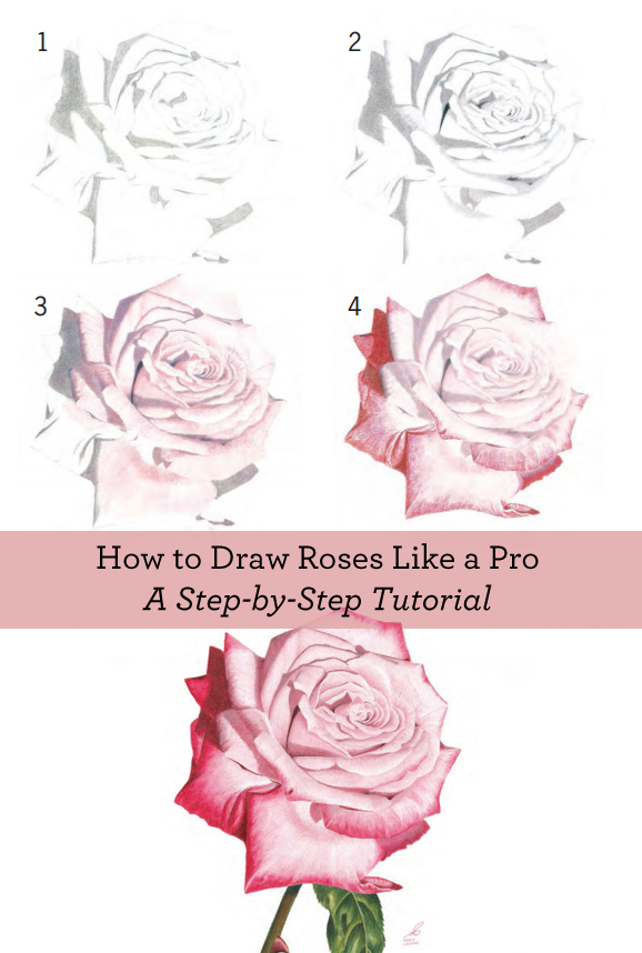 578x858 How To Draw Flowers Free Flower Drawing Guide - Flower Drawing Easy Step By Step
