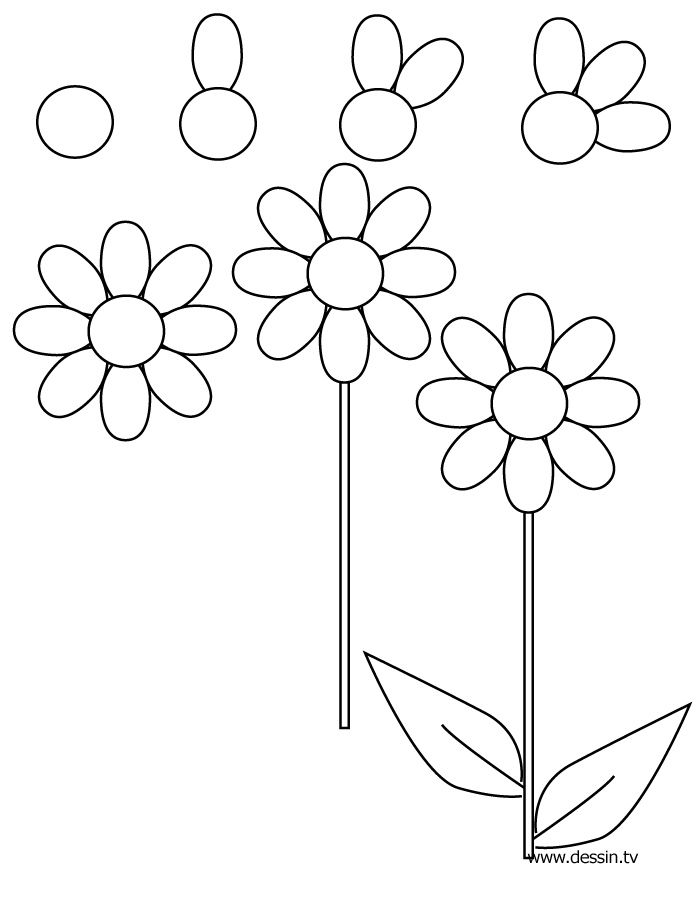 700x900 How To Draw A Flower - Flower Drawing Easy Step By Step