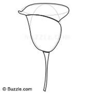 300x300 Learn How To Draw Flowers With These Step - Flower Drawing Easy Step By Step