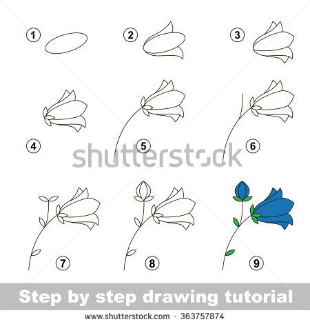 450x470 Step - Flower Drawing Easy Step By Step