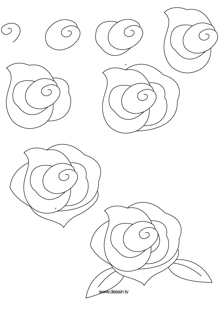 744x1052 How To Draw Flowers Learn How To Draw A Rose With Simple Step - Flower Drawing Easy Step By Step