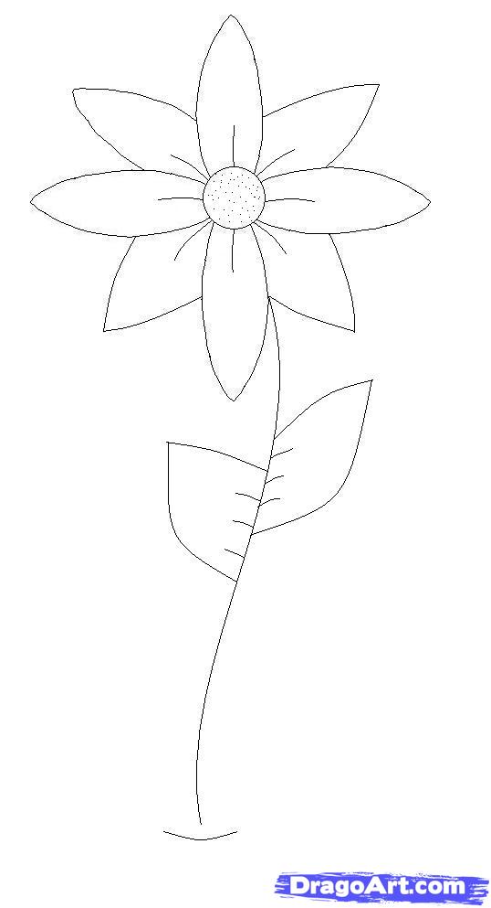 538x993 How To Draw A Flower Easy, Step - Flower Drawing Easy Step By Step