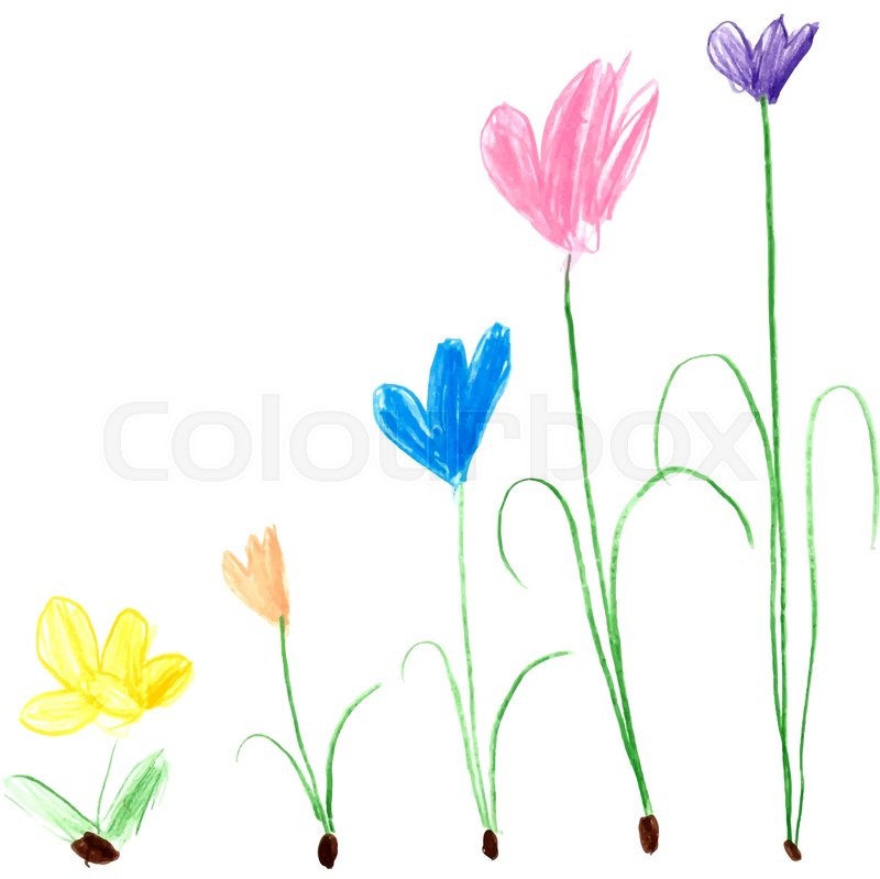 800x799 Children Drawing - Flower Drawing For Children