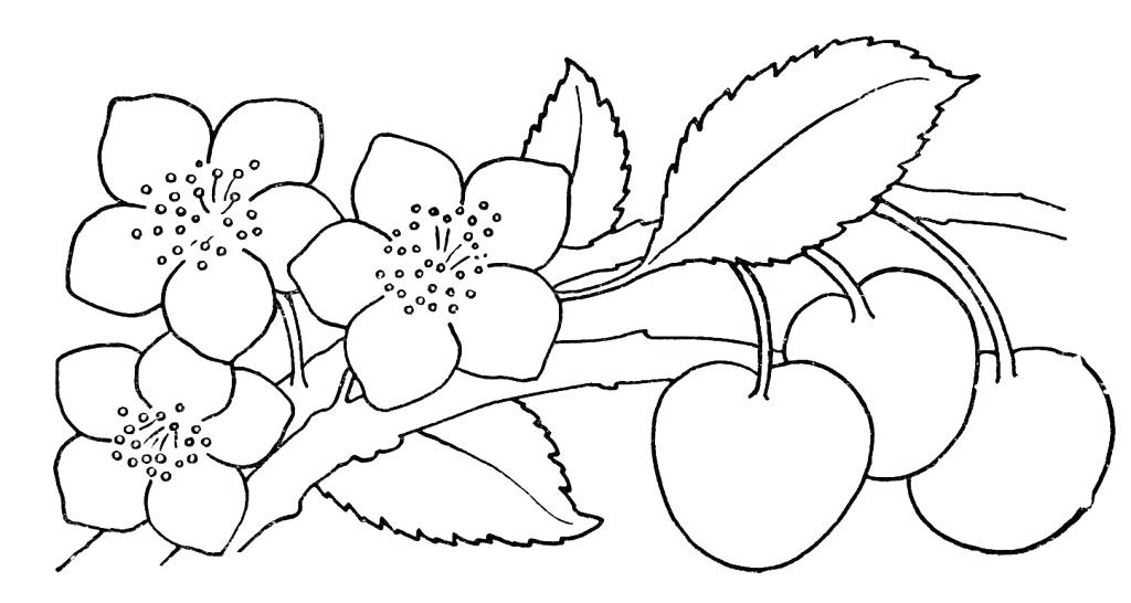 1024x546 Kids Drawing Sketch Decoration Kids Drawing Sketch For Pictures - Flower Drawing For Children