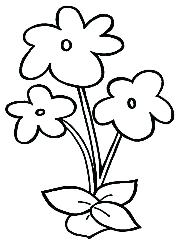 750x1024 Pictures Of Flowers To Draw Easy Tulip Flowers Drawing Images - Flower Drawing For Kids