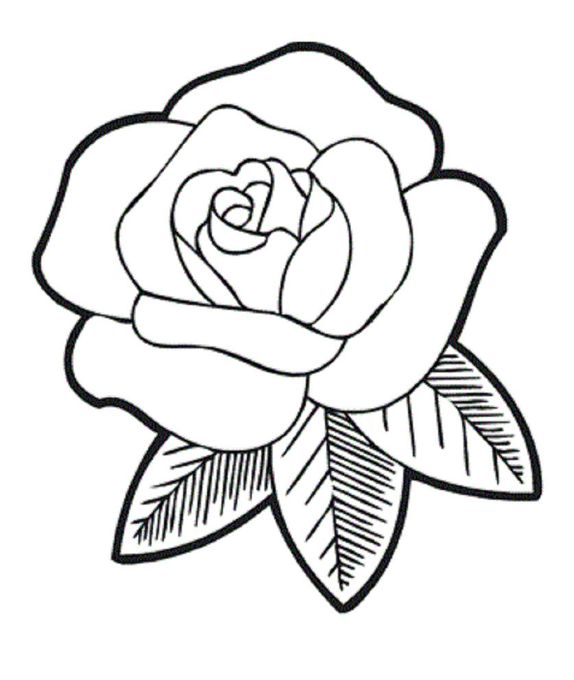 837x992 Rose Flower Drawing For Kids And Drawing Roses For Kids Rose - Flower Drawing For Kids
