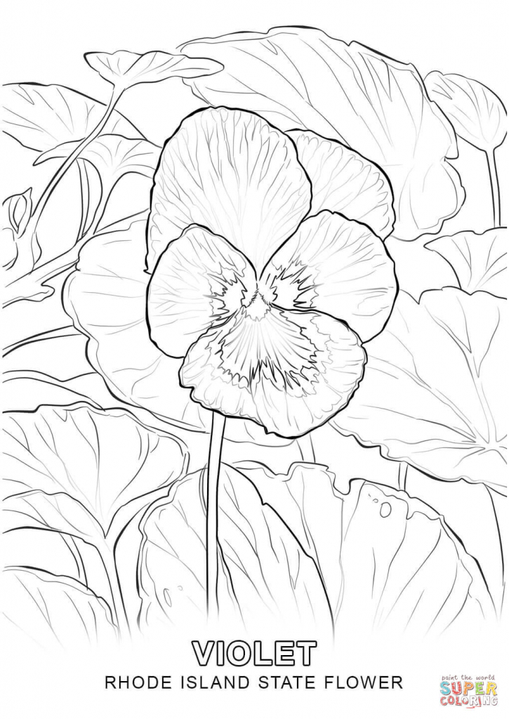 725x1024 Drawing - Flower Drawing Games