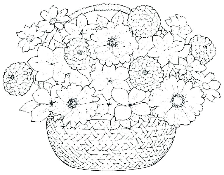 767x600 free crocus flower coloring - Flower Drawing Games