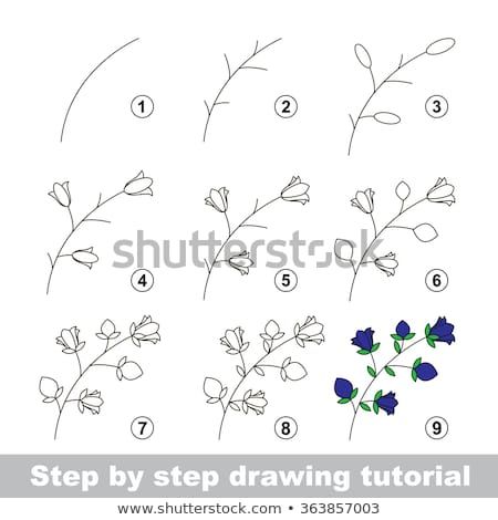 450x470 Step - Flower Drawing Games