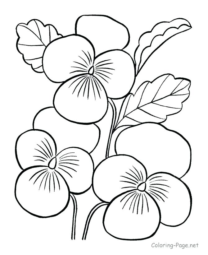 670x820 Coloring Ideas About Flower Coloring Pages On Colouring Games - Flower Drawing Games