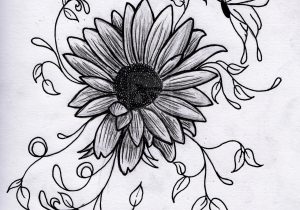 300x210 Flower Drawing Ideas Awesome Drawings Regarding Flowers Flowers - Flower Drawing Ideas