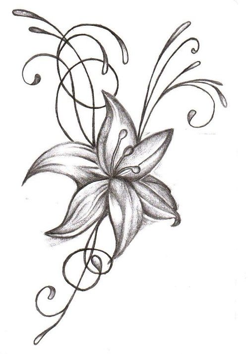 500x713 Drawing Ideas For Beginners - Flower Drawing Ideas
