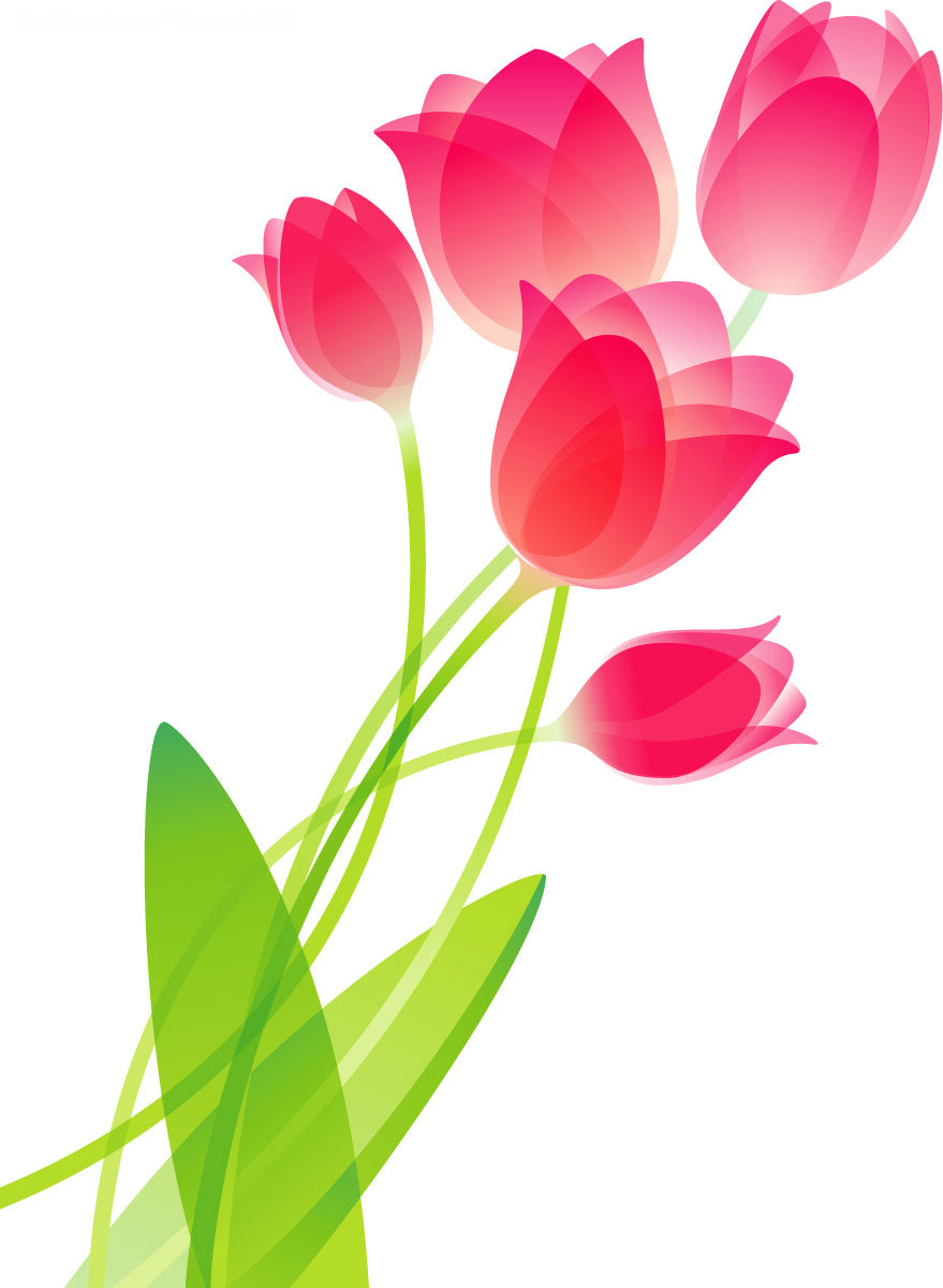 879x1200 Flower Drawing - Flower Drawing Images
