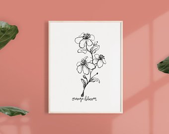 340x270 Flower Drawing Etsy - Flower Drawing Images