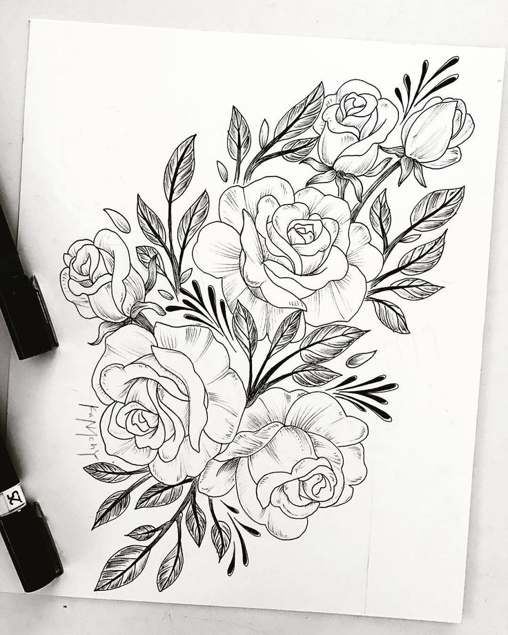 736x919 Flowers Drawing Photos - Flower Drawing Images
