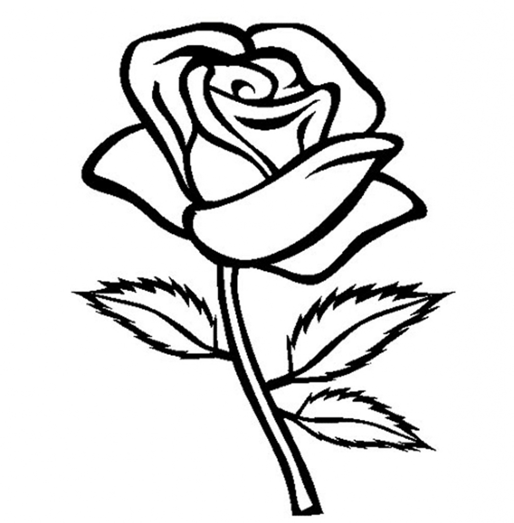 1006x1024 Gallery Rose Flower For Drawing - Flower Drawing Images