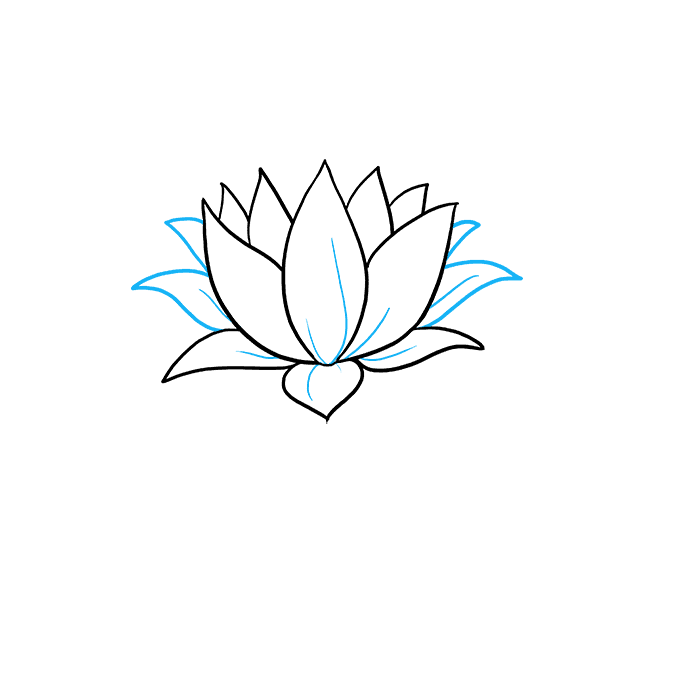 680x678 How To Draw A Lotus Flower - Flower Drawing Images