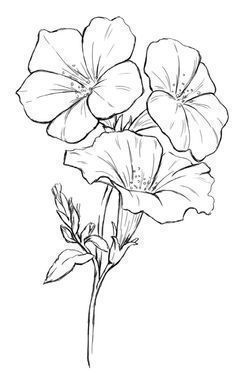 236x375 Flower Drawings For Tattoos Hibiscus Flower Tattoo - Flower Drawing Images