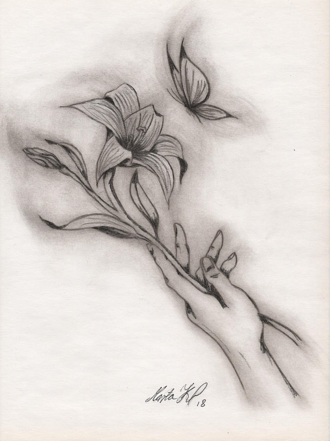 673x900 Lily Flower Drawing - Flower Drawing Lily