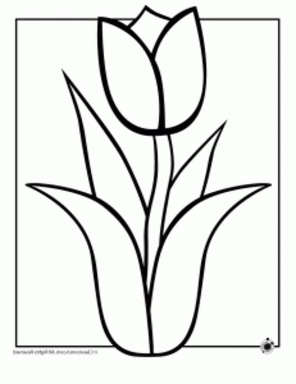 1000x1298 Coloring Pages Coloring Pages Easy Of Flowers Flower To Print - Flower Drawing Pages