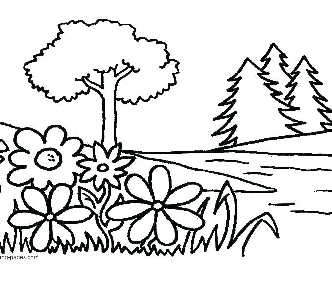 678x598 Flower Coloring Pages Online Free Flower Colouring Pages Adults - Flower Drawing Pages