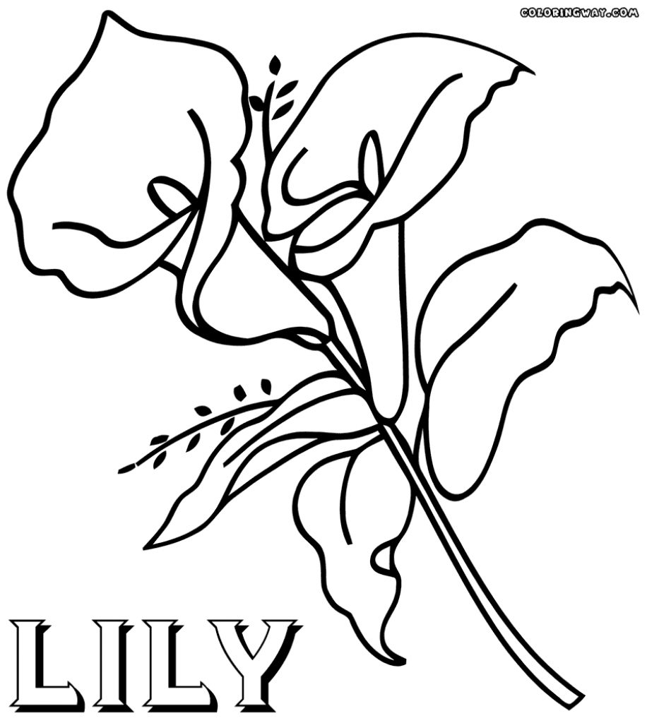 916x1024 Awesome Lily Floweroloring Pages - Flower Drawing Pages