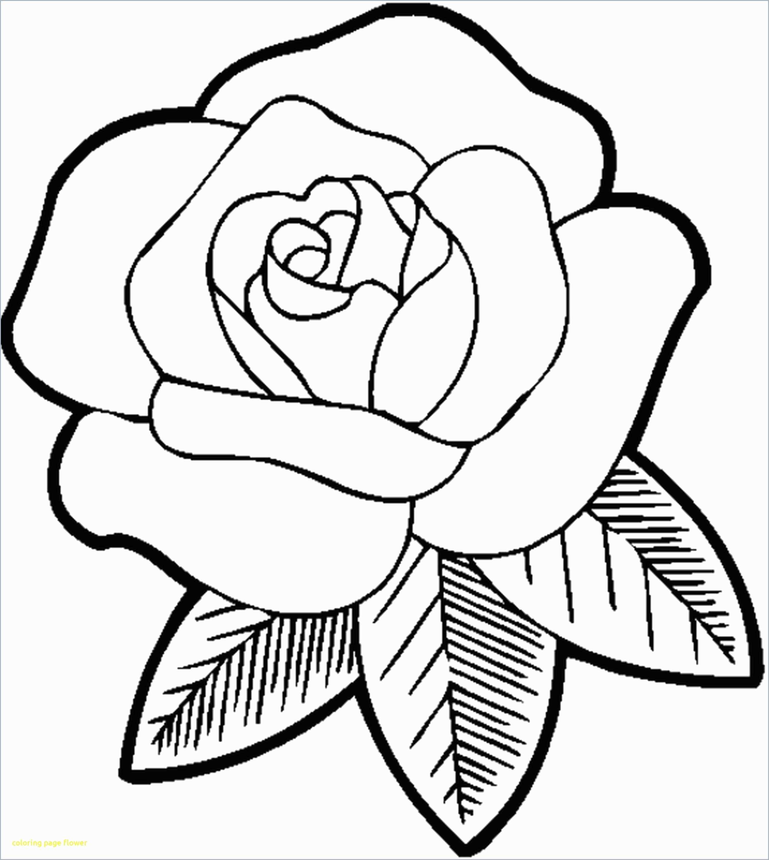 440 Flower Drawing Coloring Pages Images & Pictures In HD